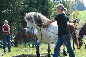 Körpertherapie für Reiter und Reiterinnen
